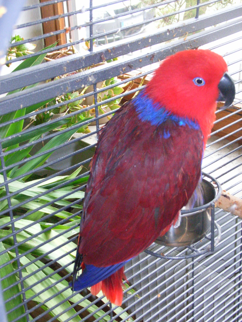 RIMG0100_01.JPG
