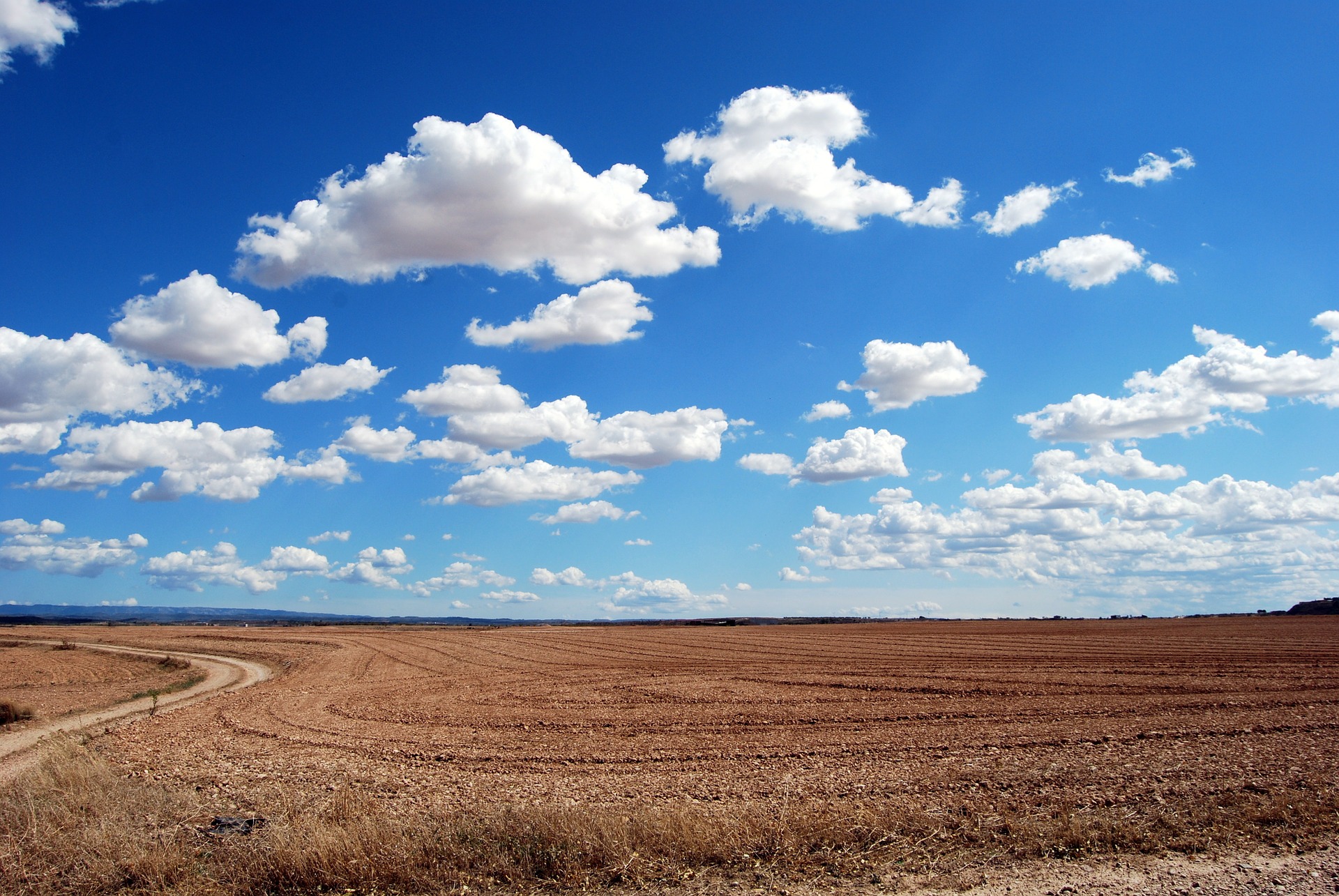 field-533541_1920