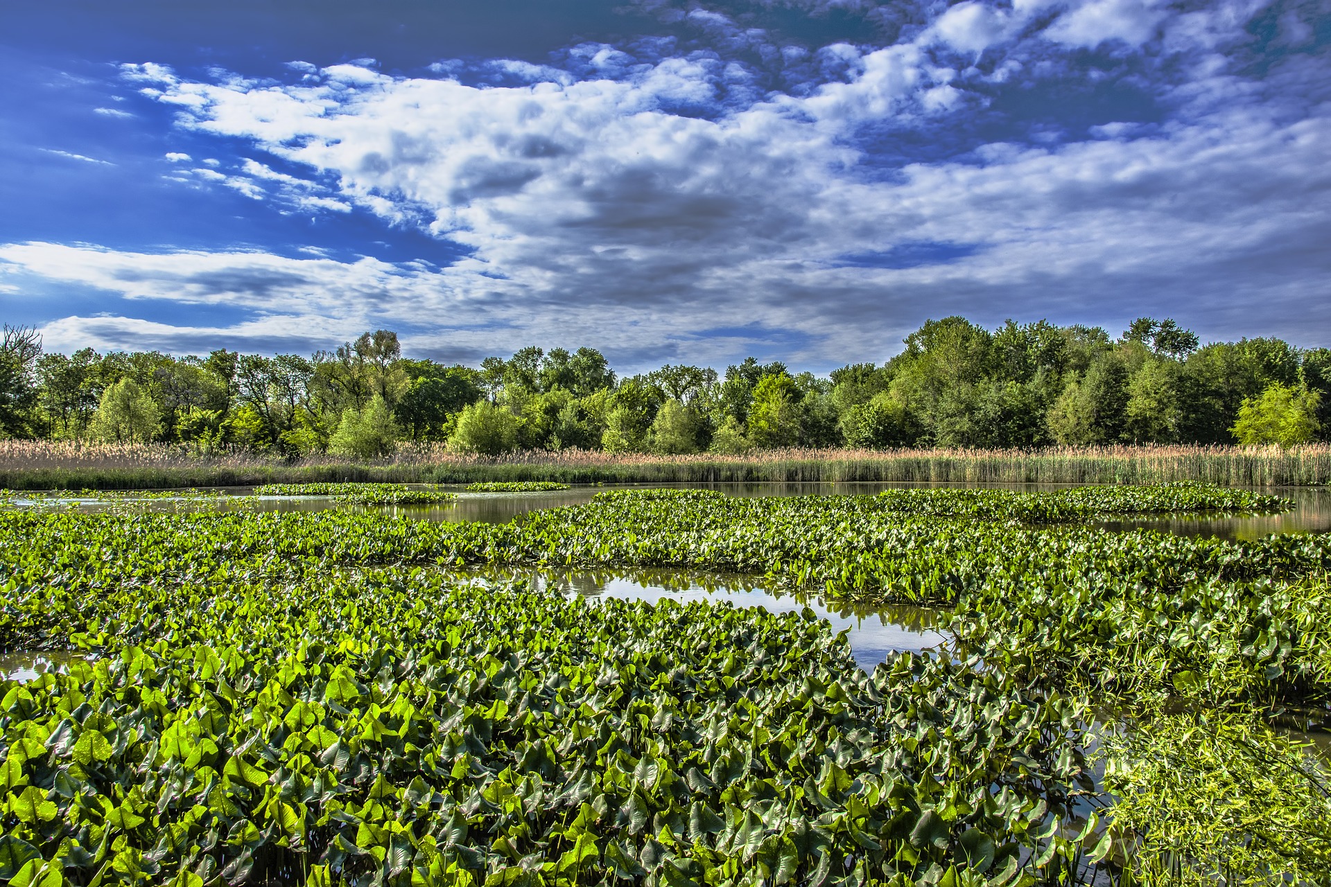 heinz-wildlife-refuge-3398387_1920